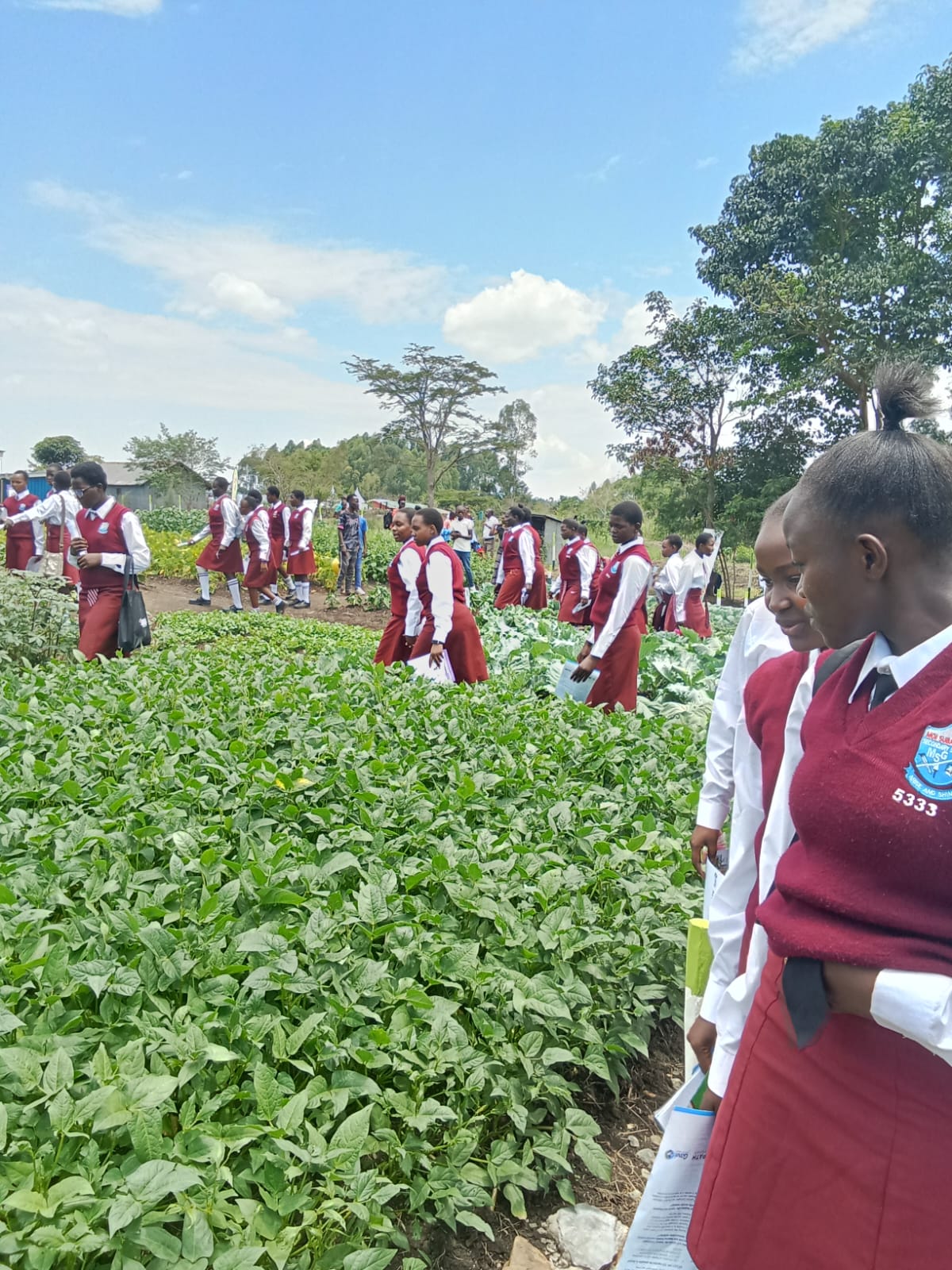 2025 KCSE results released